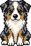 Australian Shepherd pixel art