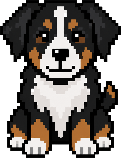 Bernese Mountain Dog pixel art