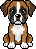 Boxer pixel art