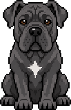 Cane Corso pixel art