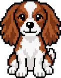 Cavalier King Charles Spaniel pixel art